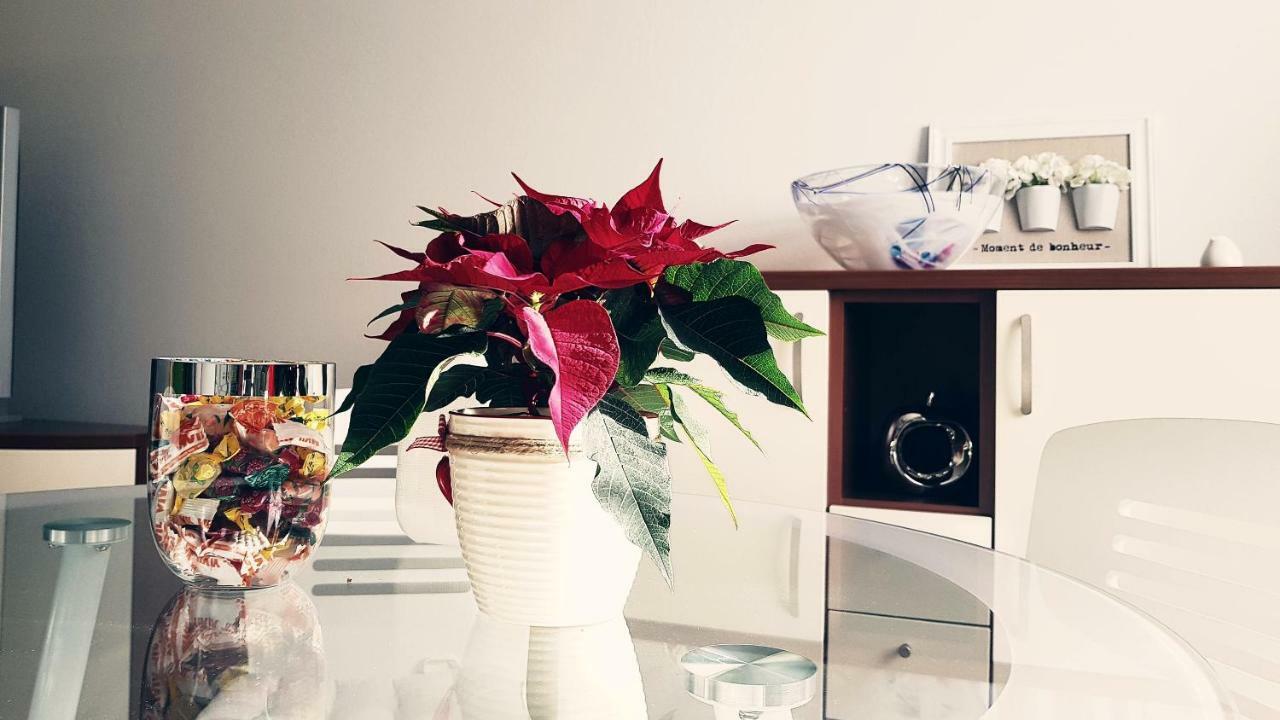 Apartment Dominik โอซีเยก ภายนอก รูปภาพ